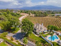 Chateau Blanc Vineyard Estate - Image 4