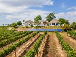 Chateau Blanc Vineyard Estate - Image 5
