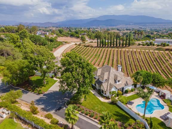 Chateau Blanc Vineyard Estate - Image 4