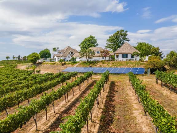 Chateau Blanc Vineyard Estate - Image 5