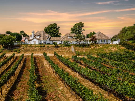 Chateau Blanc Vineyard Estate - Image 1