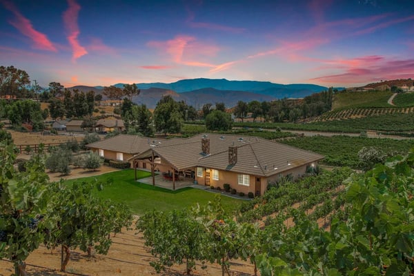 Single-story ranch house with metal roof surrounded by vineyard rows at sunset, mountains in background